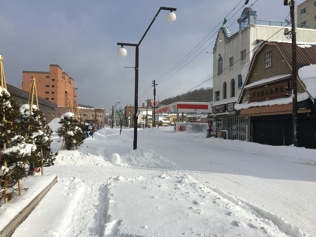 IMG_9875.JPG - 2019年冬季北海道公務旅遊(2019.1.21-31)
