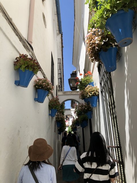 IMG_8470.JPG - 2019年西班牙旅遊(2019.7.6-16)
