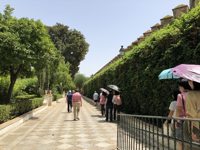 IMG_8901.JPG - 2019年西班牙旅遊(2019.7.6-16)