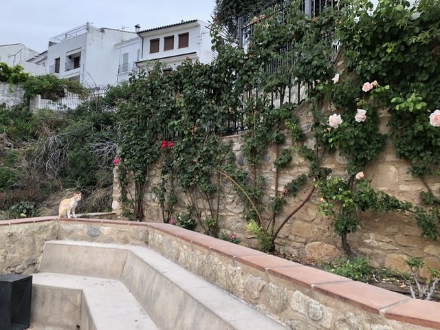 IMG_9466.JPG - 2019年西班牙旅遊(2019.7.6-16)
