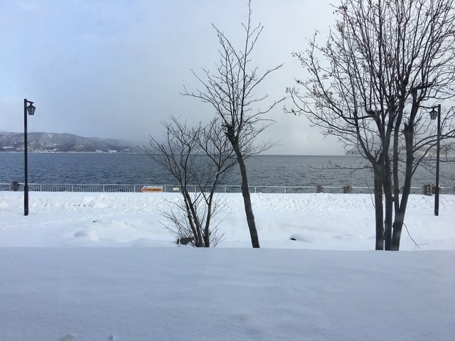 2019年日本北海道公務旅遊(2019.1.21-31)第5天
