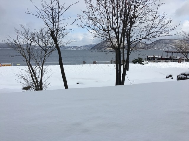 2019年日本北海道公務旅遊(2019.1.21-31)第5天
