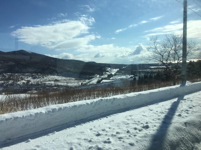 2019年日本北海道公務旅遊(2019.1.21-31)第5天