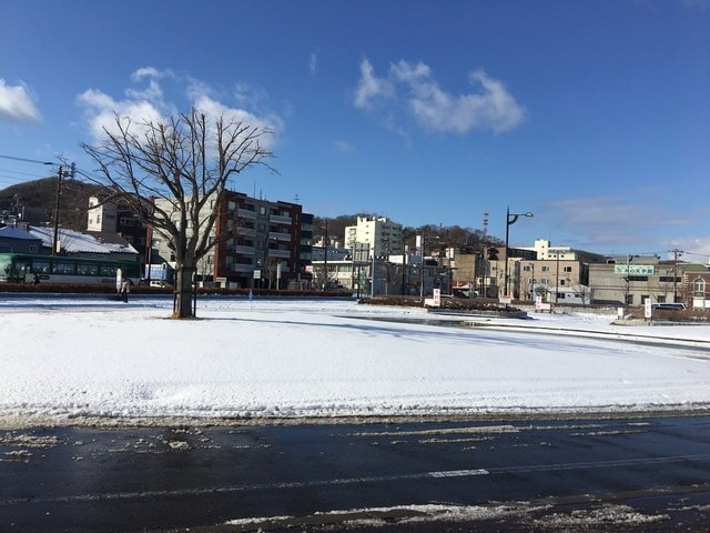 2019年日本北海道公務旅遊(2019.1.21-31)第5天
