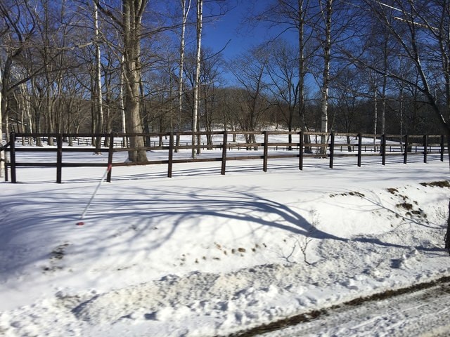 2019年日本北海道公務旅遊(2019.1.21-31)第6天