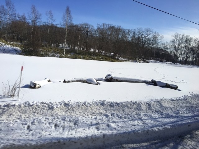 2019年日本北海道公務旅遊(2019.1.21-31)第6天