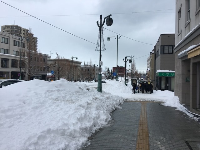 2019年日本北海道公務旅遊(2019.1.21-31)第6天