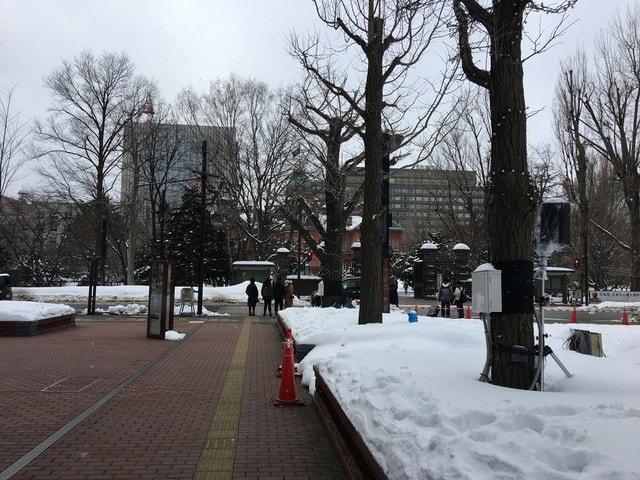 2019年日本北海道公務旅遊(2019.1.21-31)第7天