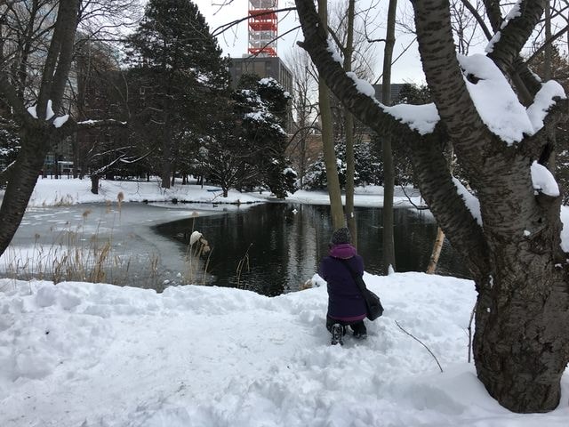 2019年日本北海道公務旅遊(2019.1.21-31)第7天