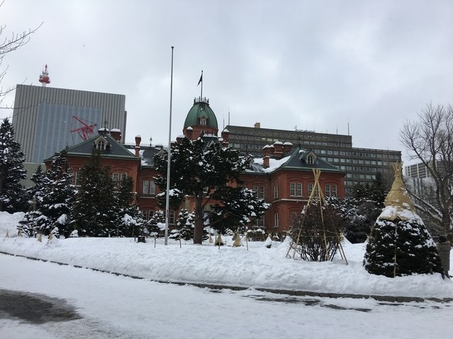 2019年日本北海道公務旅遊(2019.1.21-31)第7天