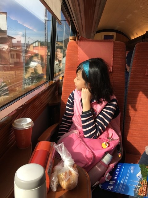 2019年日本北海道公務旅遊(2019.1.21-31)第8天