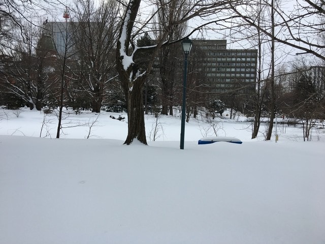 2019年日本北海道公務旅遊(2019.1.21-31)第7天