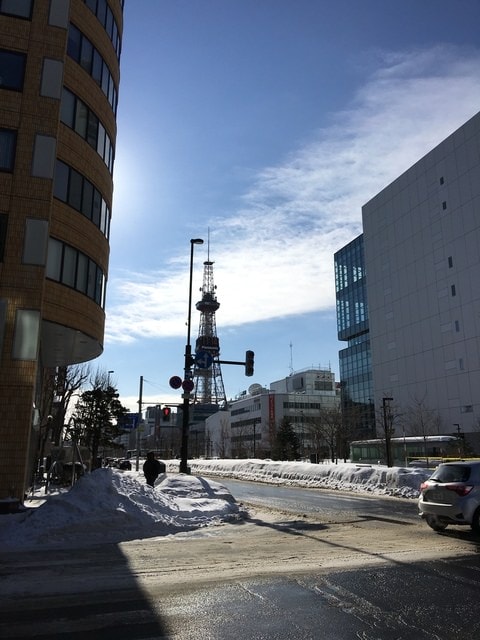 2019年日本北海道公務旅遊(2019.1.21-31)第7天