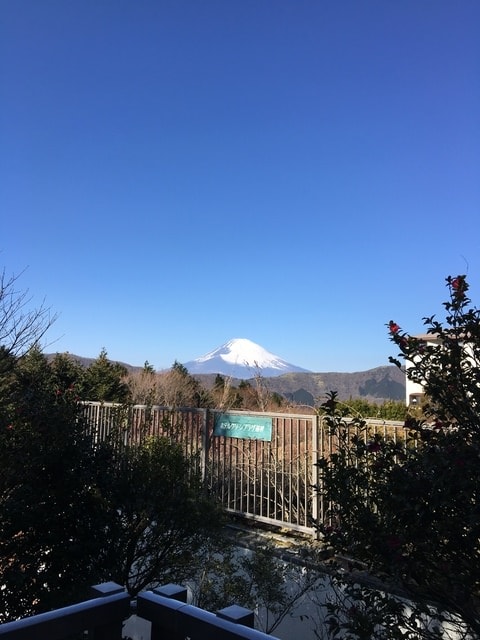 2019年日本北海道公務旅遊(2019.1.21-31)第9天