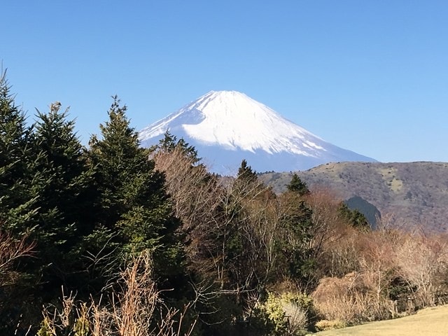2019年日本北海道公務旅遊(2019.1.21-31)第9天