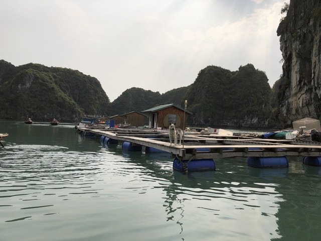 IMG_4056.JPG - 2019春北越行(2019.4.3-4.7)