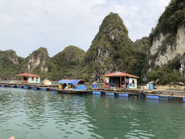 IMG_4053.JPG - 2019春北越行(2019.4.3-4.7)