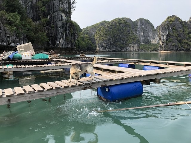 IMG_4060.JPG - 2019春北越行(2019.4.3-4.7)