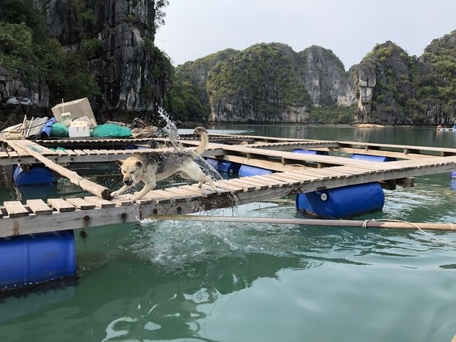 IMG_4061.JPG - 2019春北越行(2019.4.3-4.7)