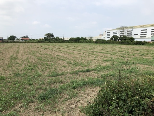 IMG_5032.JPG - 2019.4~