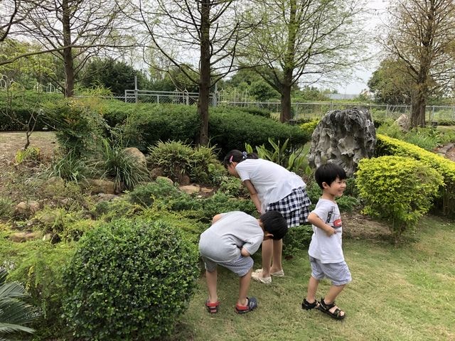IMG_5031.JPG - 2019.4~