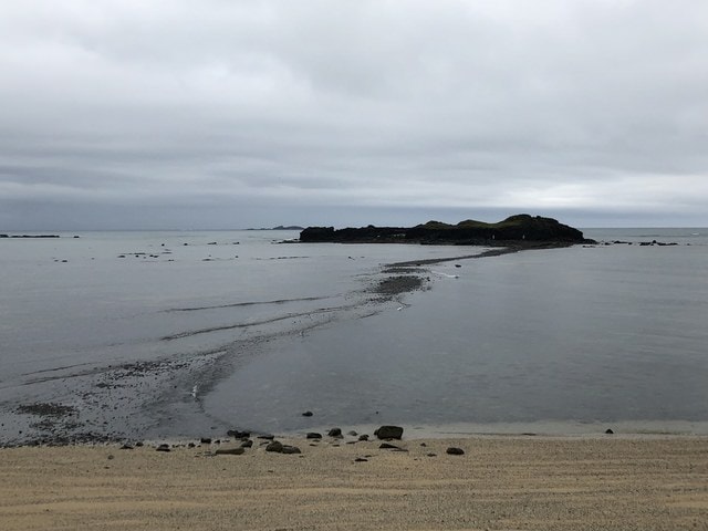 IMG_5896.JPG - 2019.4~