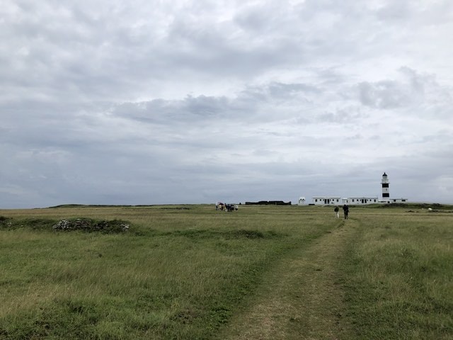 IMG_5733.JPG - 2019.4~