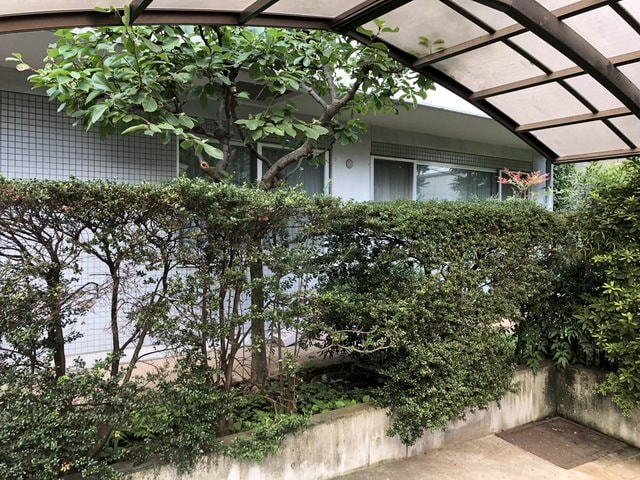 IMG_2020.JPG - 2019年夏季日本行(2019.7.21-31)