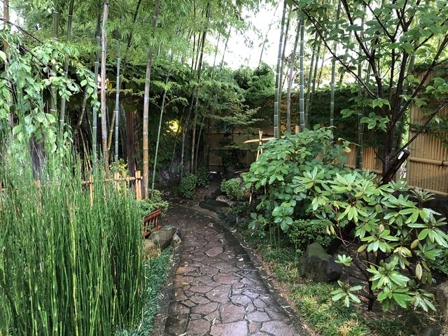 IMG_1947.JPG - 2019年夏季日本行(2019.7.21-31)