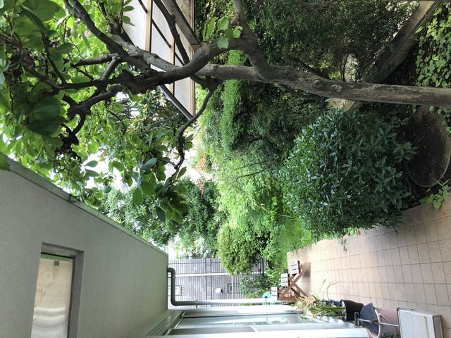 IMG_2019.JPG - 2019年夏季日本行(2019.7.21-31)