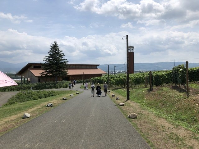 IMG_2315.JPG - 2019年夏季日本行(2019.7.21-31)