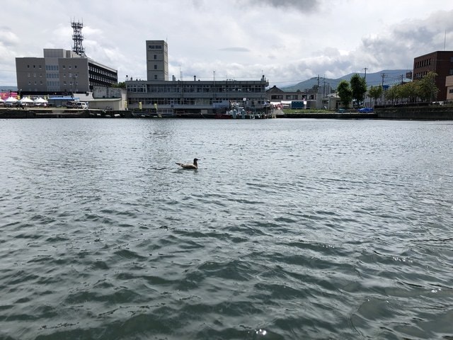 IMG_2180.JPG - 2019年夏季日本行(2019.7.21-31)