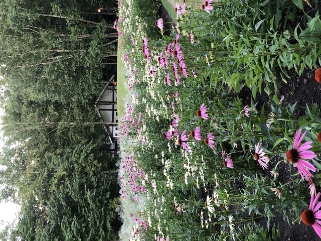 IMG_2279.JPG - 2019年夏季日本行(2019.7.21-31)