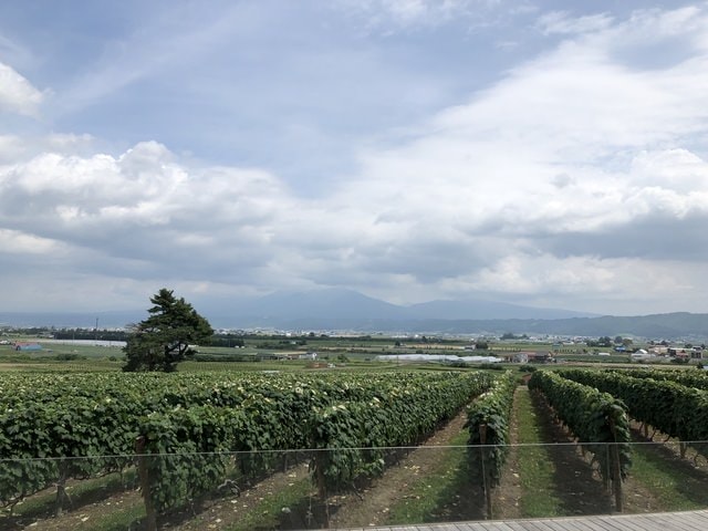 IMG_2327.JPG - 2019年夏季日本行(2019.7.21-31)