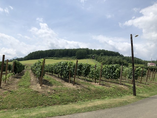 IMG_2336.JPG - 2019年夏季日本行(2019.7.21-31)