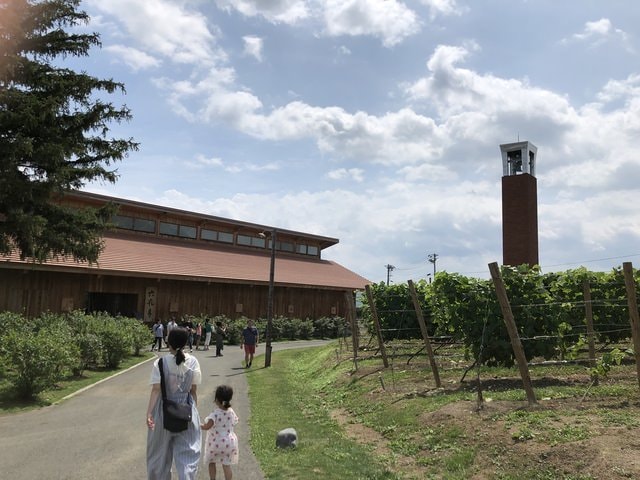 IMG_2317.JPG - 2019年夏季日本行(2019.7.21-31)