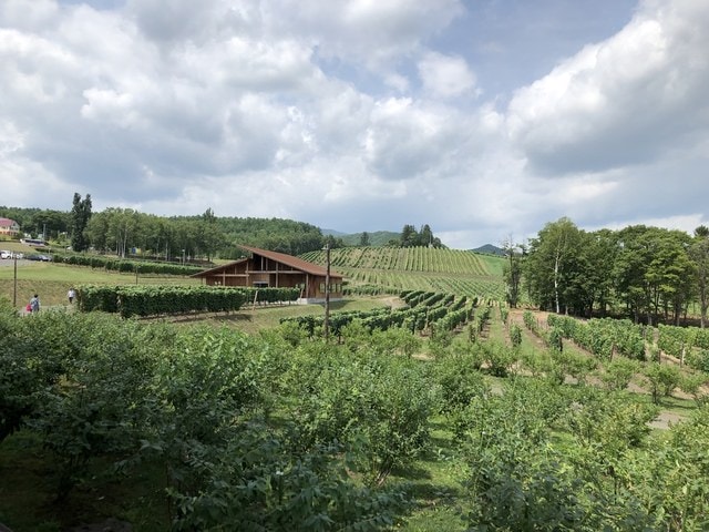 IMG_2329.JPG - 2019年夏季日本行(2019.7.21-31)