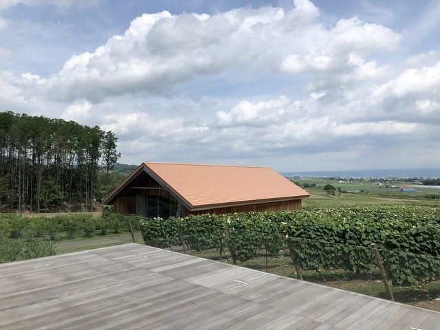 IMG_2328.JPG - 2019年夏季日本行(2019.7.21-31)