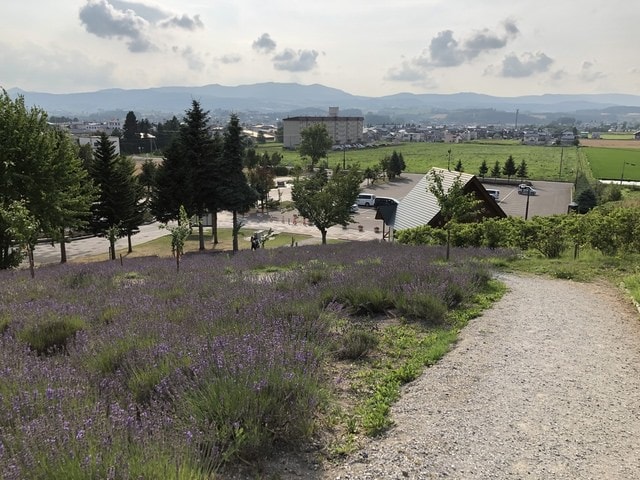IMG_2479.JPG - 2019年夏季日本行(2019.7.21-31)