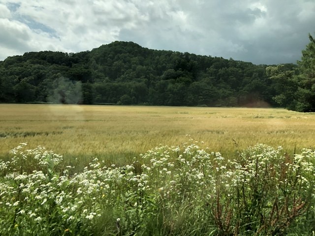 IMG_2721.JPG - 2019年夏季日本行(2019.7.21-31)