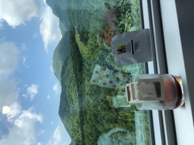 IMG_0428.JPG - 2019年夏季日本行(2019.7.21-31)