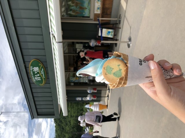 IMG_2714.JPG - 2019年夏季日本行(2019.7.21-31)