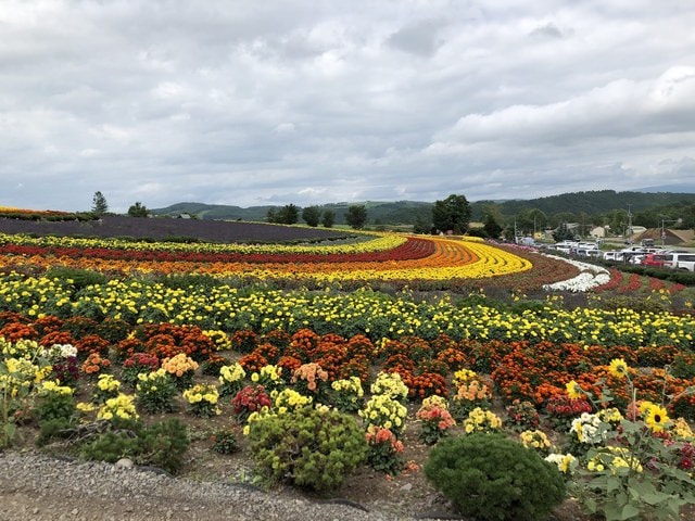 IMG_2798.JPG - 2019年夏季日本行(2019.7.21-31)