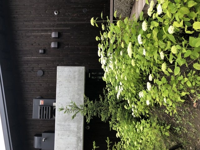 IMG_2957.JPG - 2019年夏季日本行(2019.7.21-31)