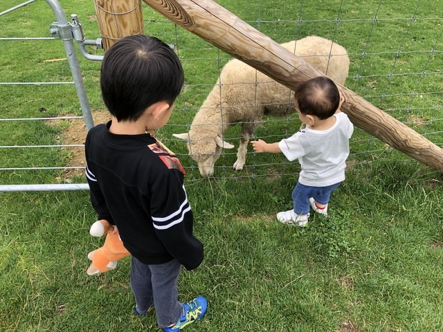 IMG_3233.JPG - 2019年夏季日本行(2019.7.21-31)