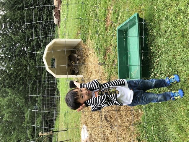 IMG_2994.JPG - 2019年夏季日本行(2019.7.21-31)