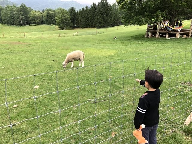 IMG_3232.JPG - 2019年夏季日本行(2019.7.21-31)