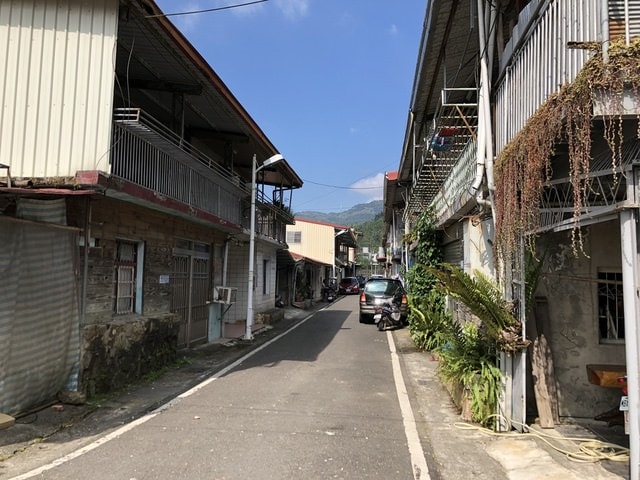 IMG_4085.JPG - 2019.4~