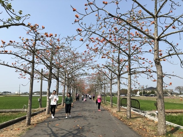 IMG_5425.JPG - 2019.4~