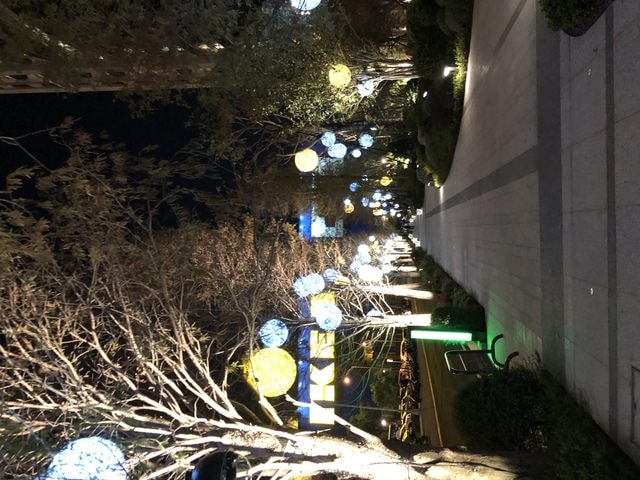 IMG_5058.JPG - 2019.4~